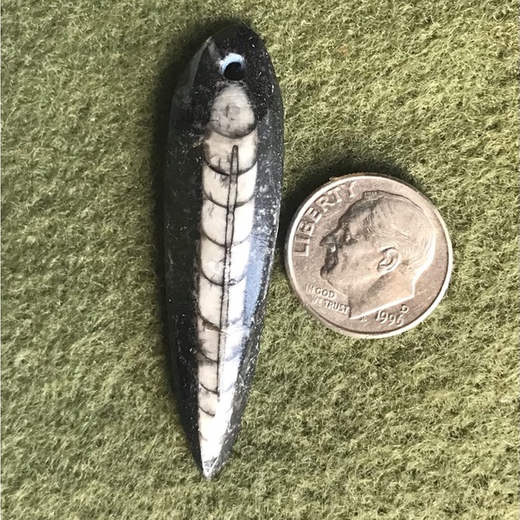 Orthoceras Pendant - Picture 3 of 3